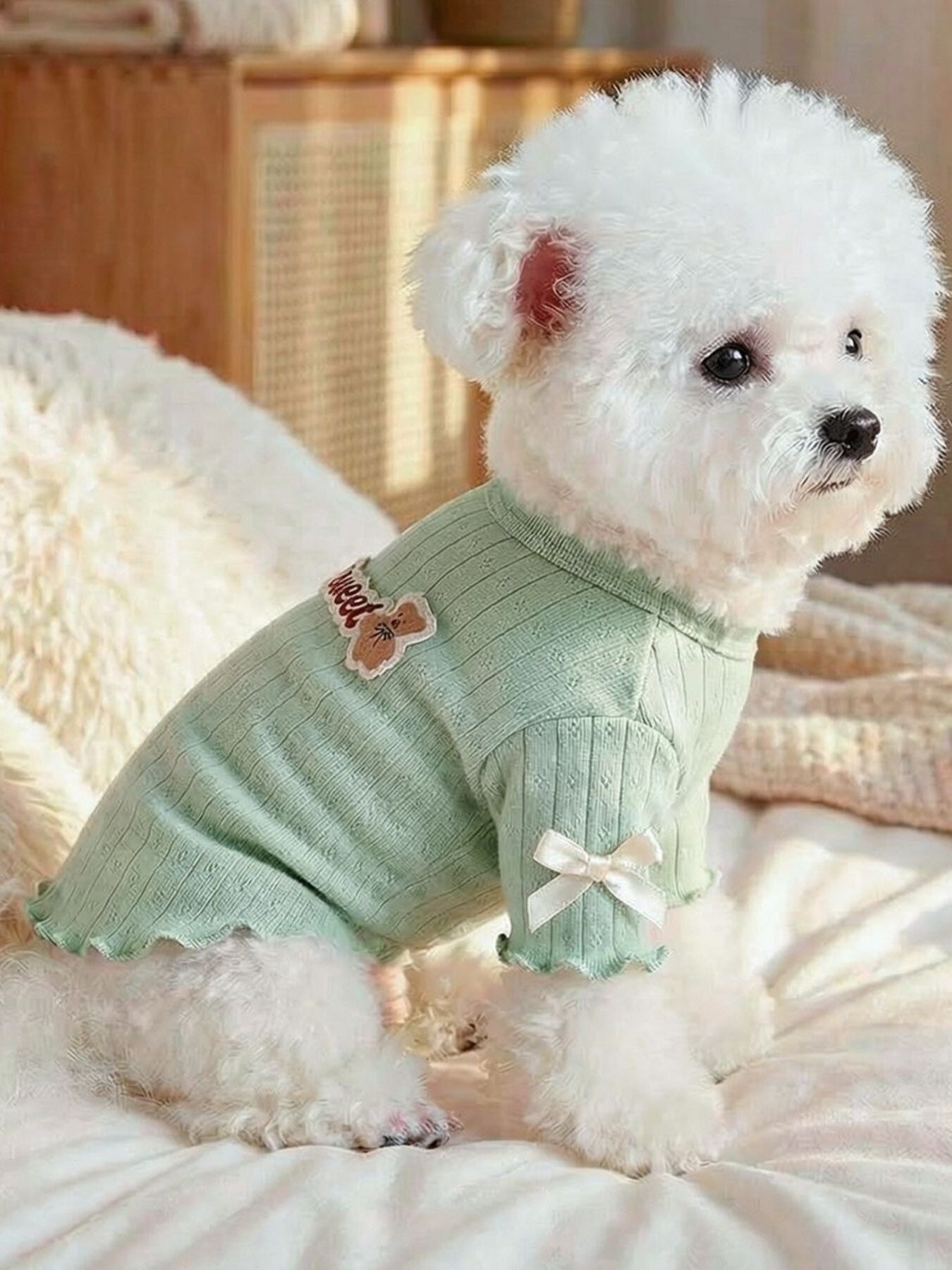 Sweet Bear Patch Ribbed Pet Top - Loving It Shop