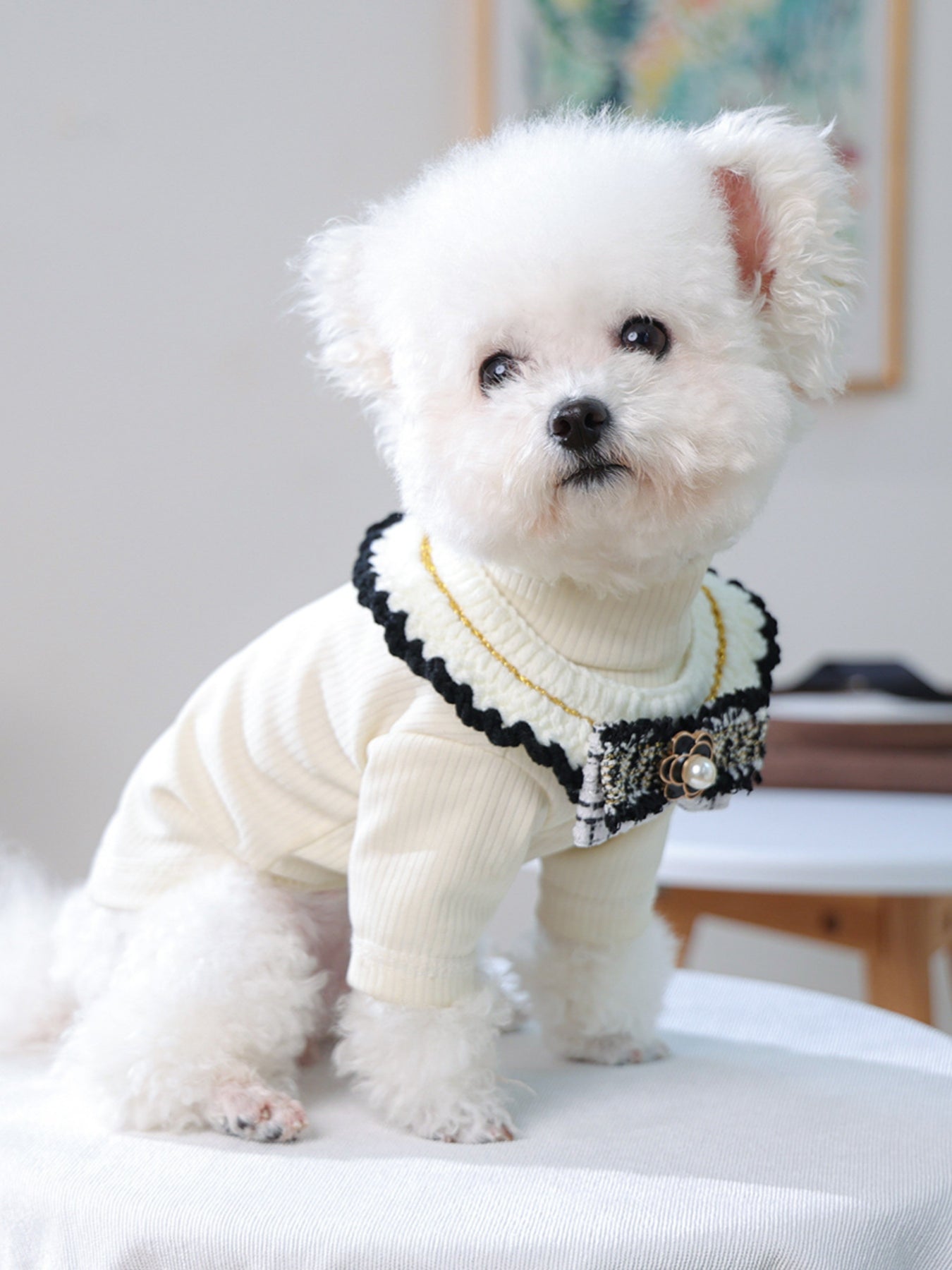 Contrast Pet Scarf - Loving It Shop
