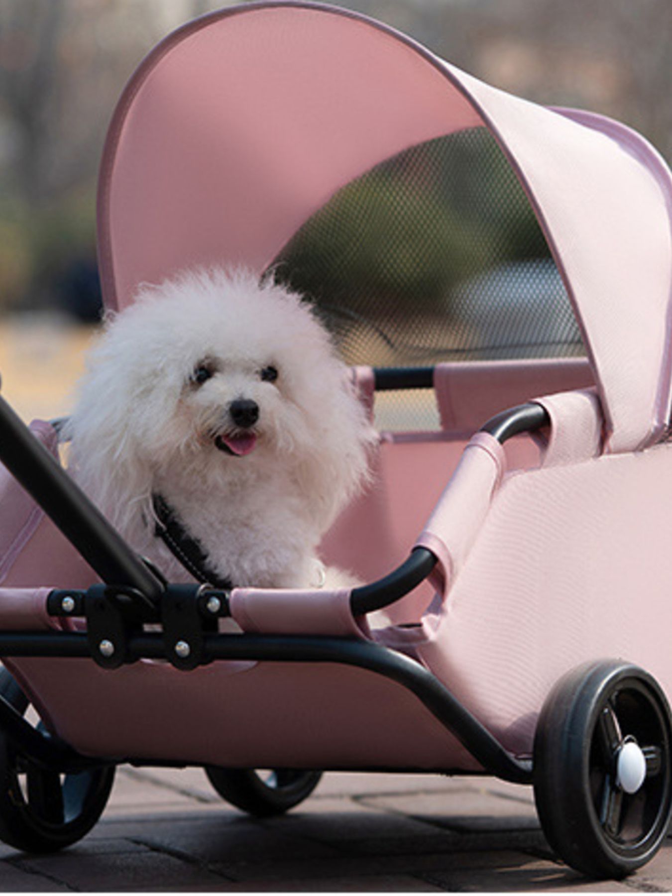 Foldable Pet Stroller - Loving It Shop