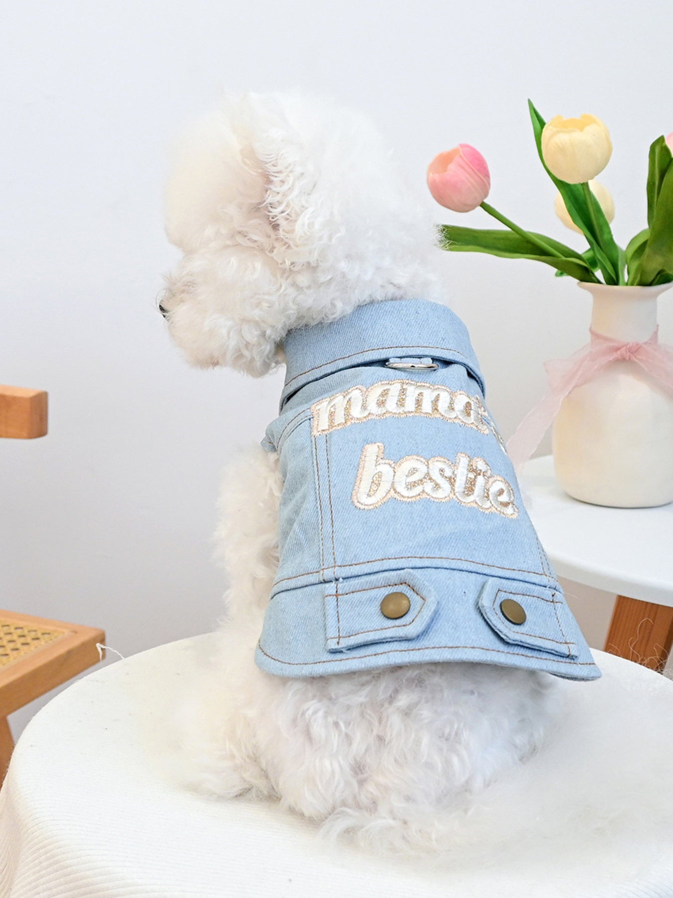 Embroidered Denim Pet Jacket - Loving It Shop