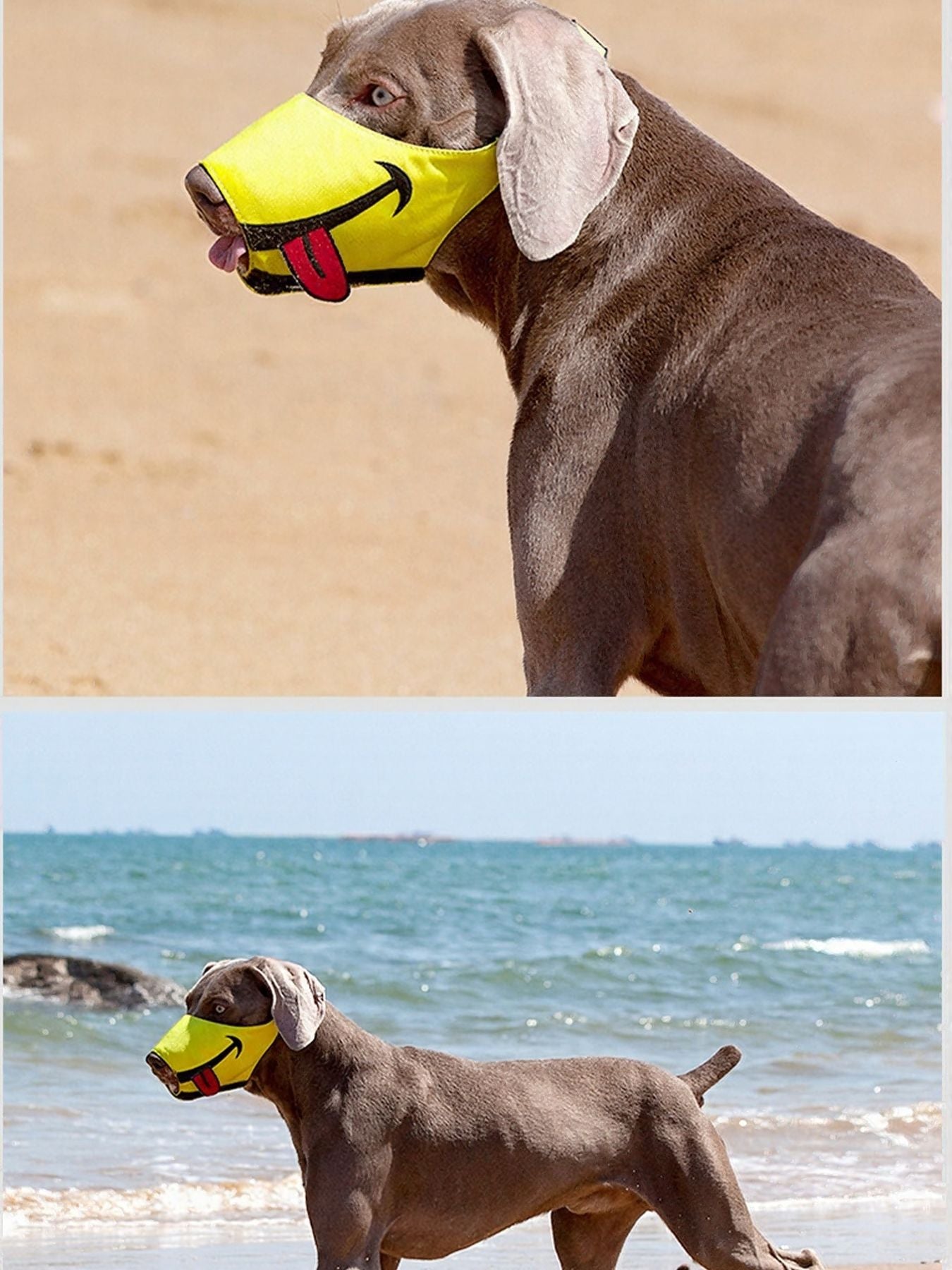 Funny Face Anti - Bite Pet Muzzle - Loving It Shop