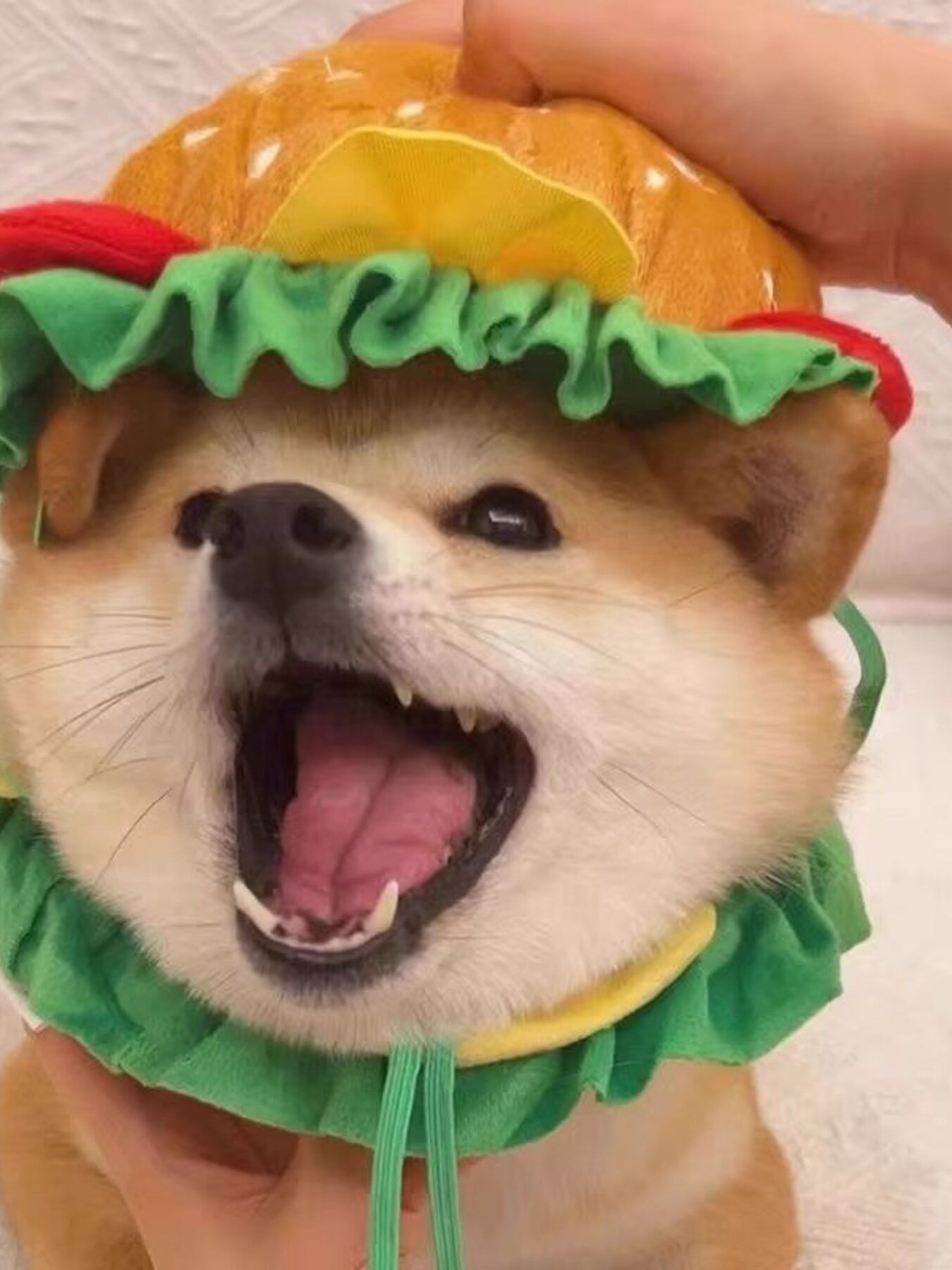 Hamburger Style Pet Headwear - Loving It Shop