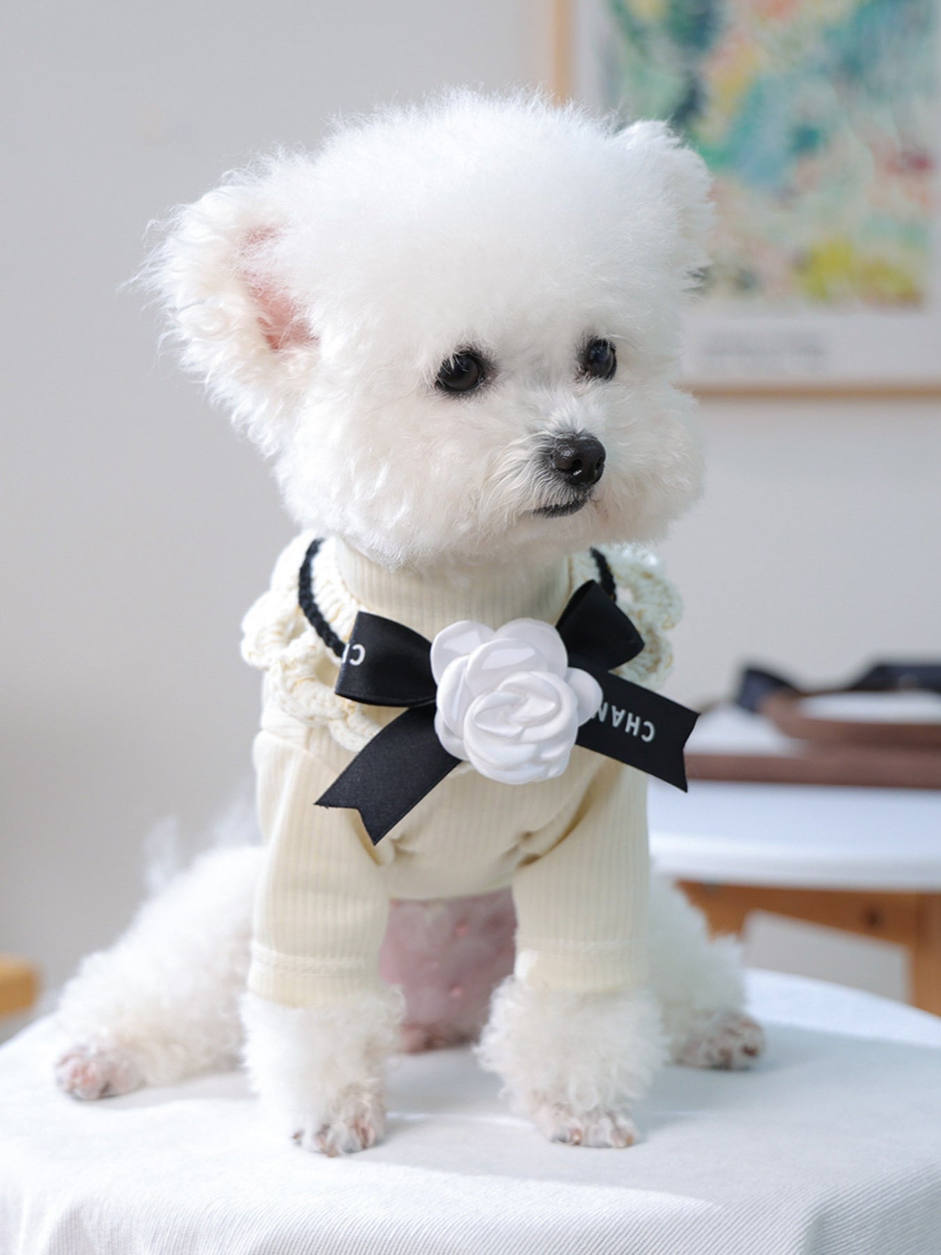 Contrast Pet Scarf - Loving It Shop