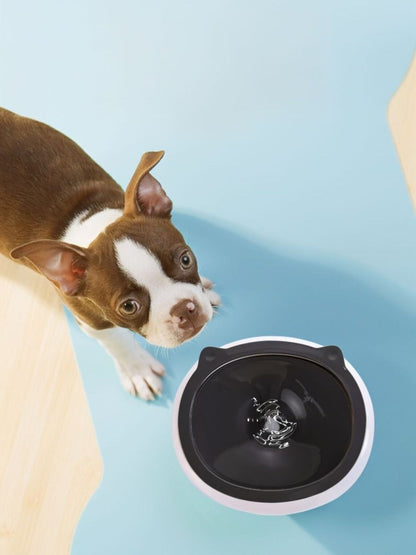 Cute Cat Ear Pet Bowls