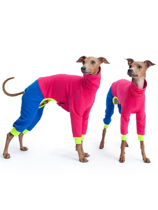 Full Size Color Block Turtleneck Pet Jumpsuits Plus Size - Loving It Shop