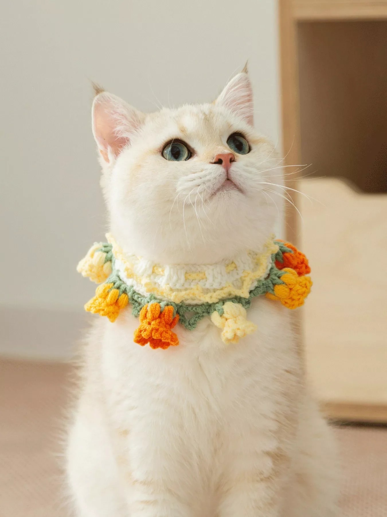 Knitted Floral Pet Collar - Loving It Shop
