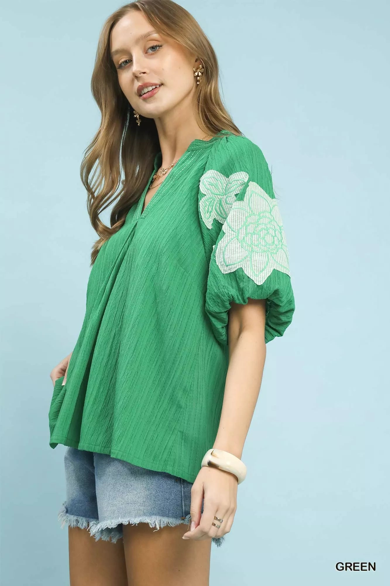 Embroidered Balloon Sleeve Notch Neck Blouse