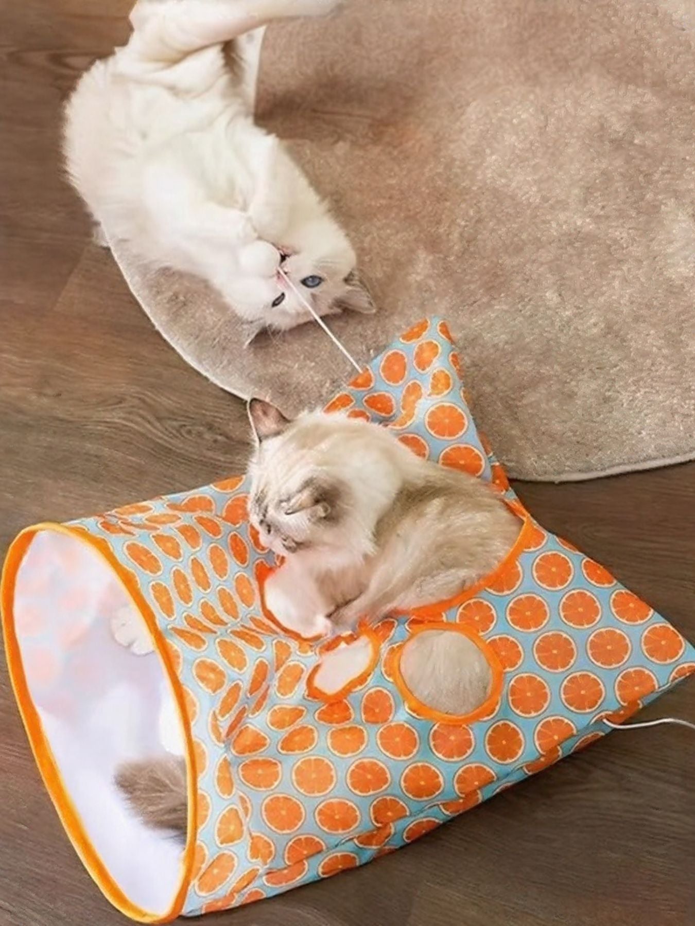 Collapsible Printed Cat Tunnel Toy - Loving It Shop