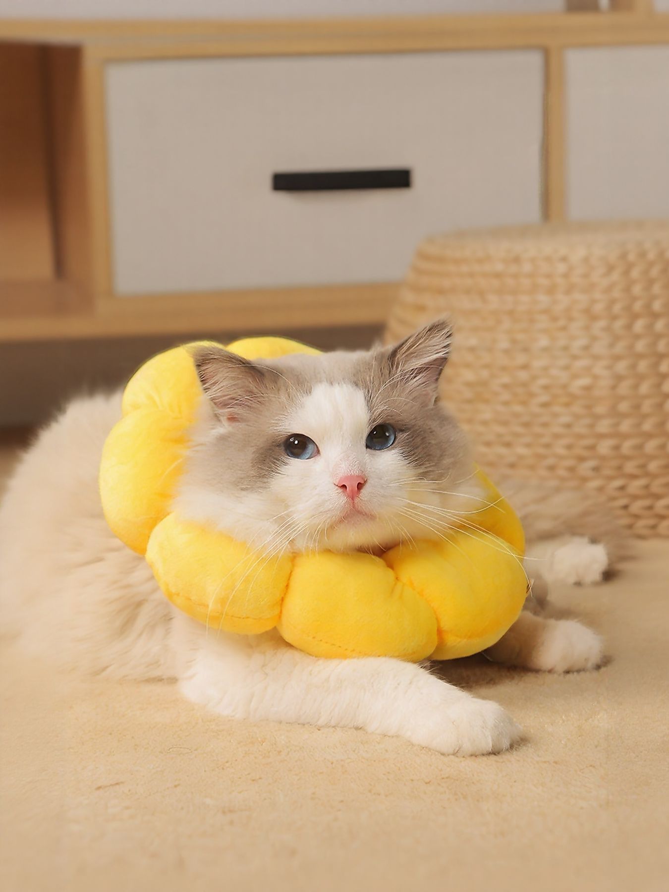 Sunflower Protective Pet Collar - Loving It Shop