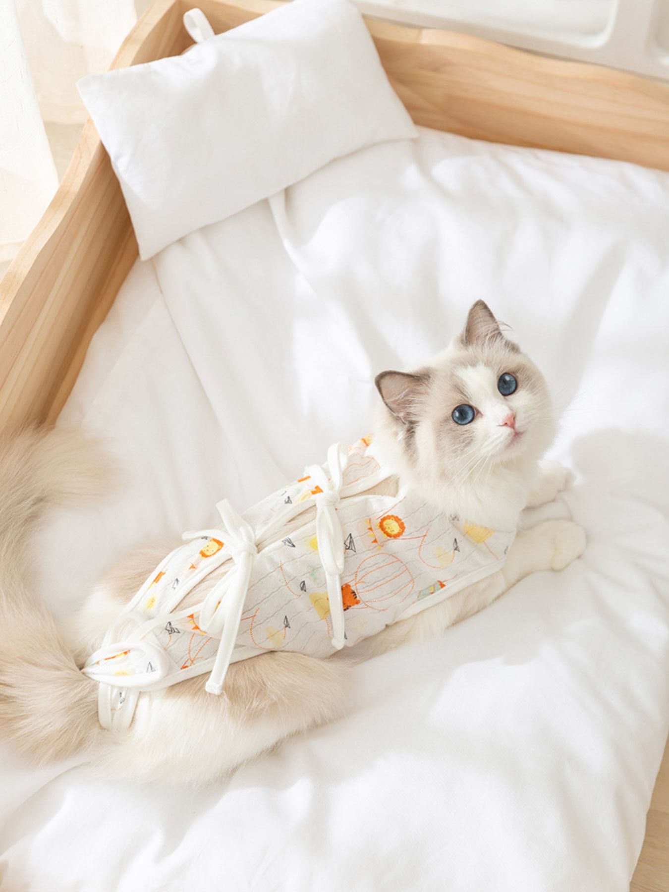Adjustable Tie Pet Recovery Suit - Loving It Shop