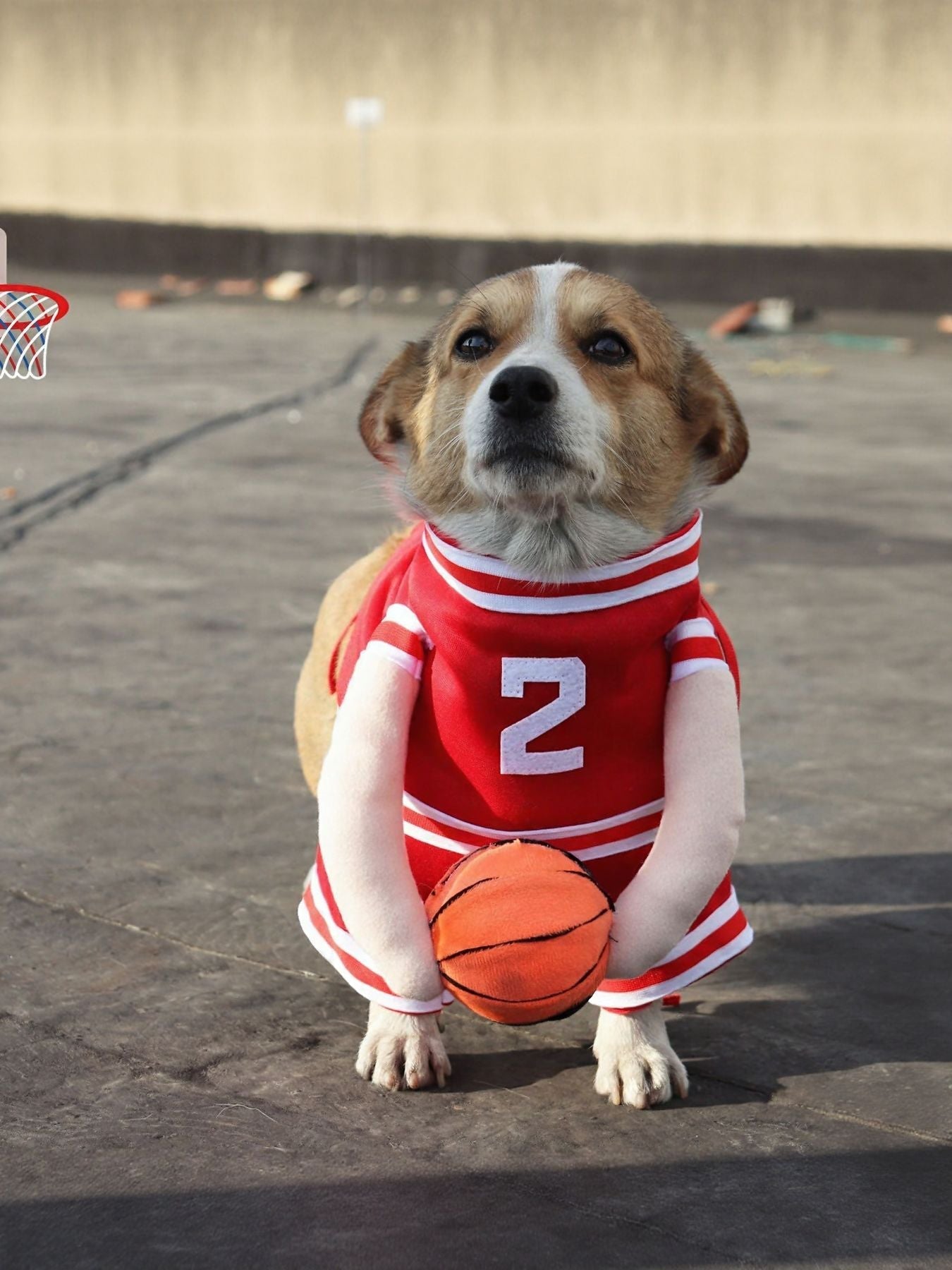 Sporty Basketball Pet Jumpsuit - Loving It Shop
