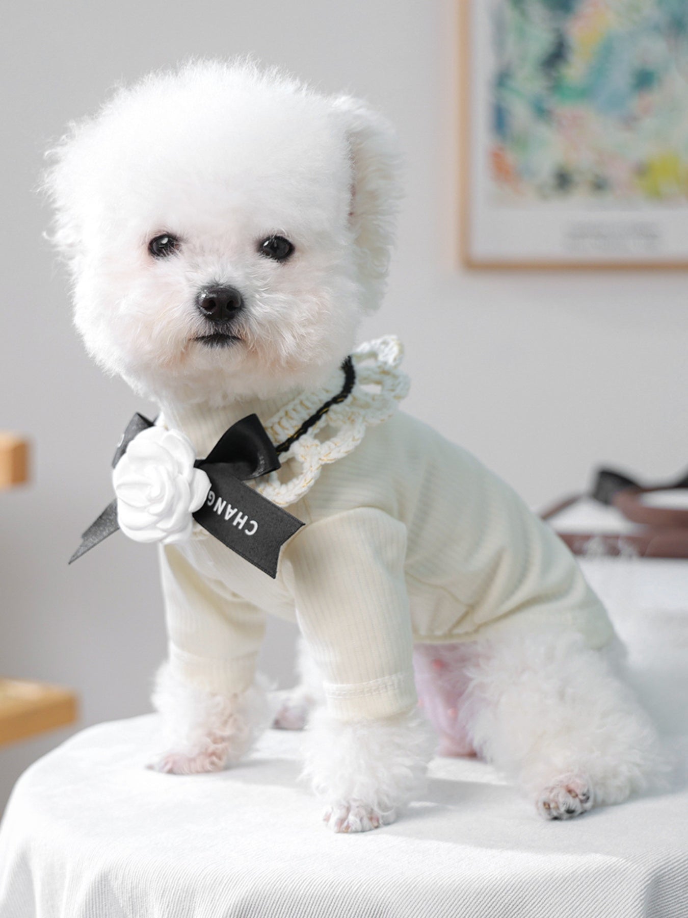 Contrast Pet Scarf - Loving It Shop
