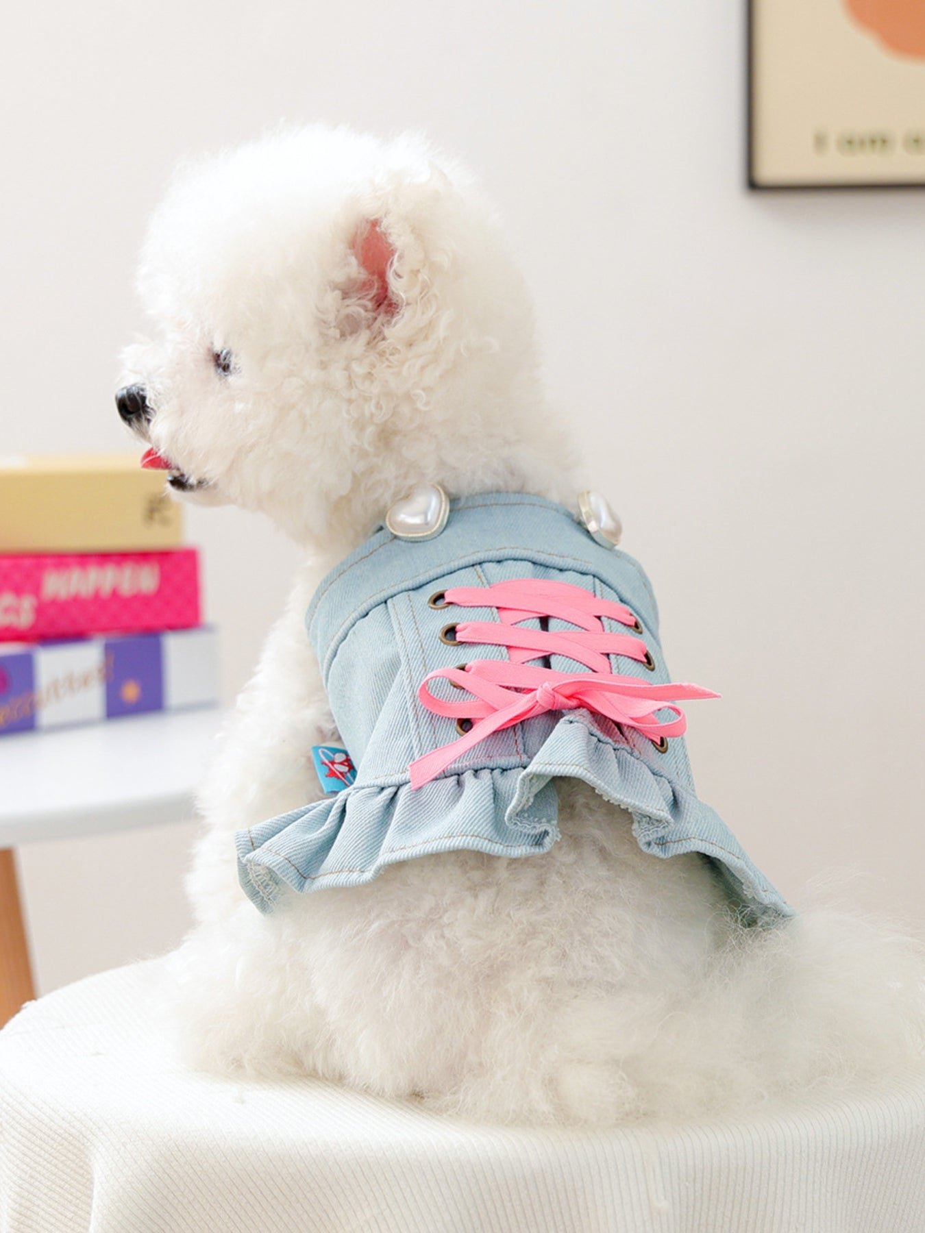 Denim Lace - Up Ruffle Pet Dress - Loving It Shop