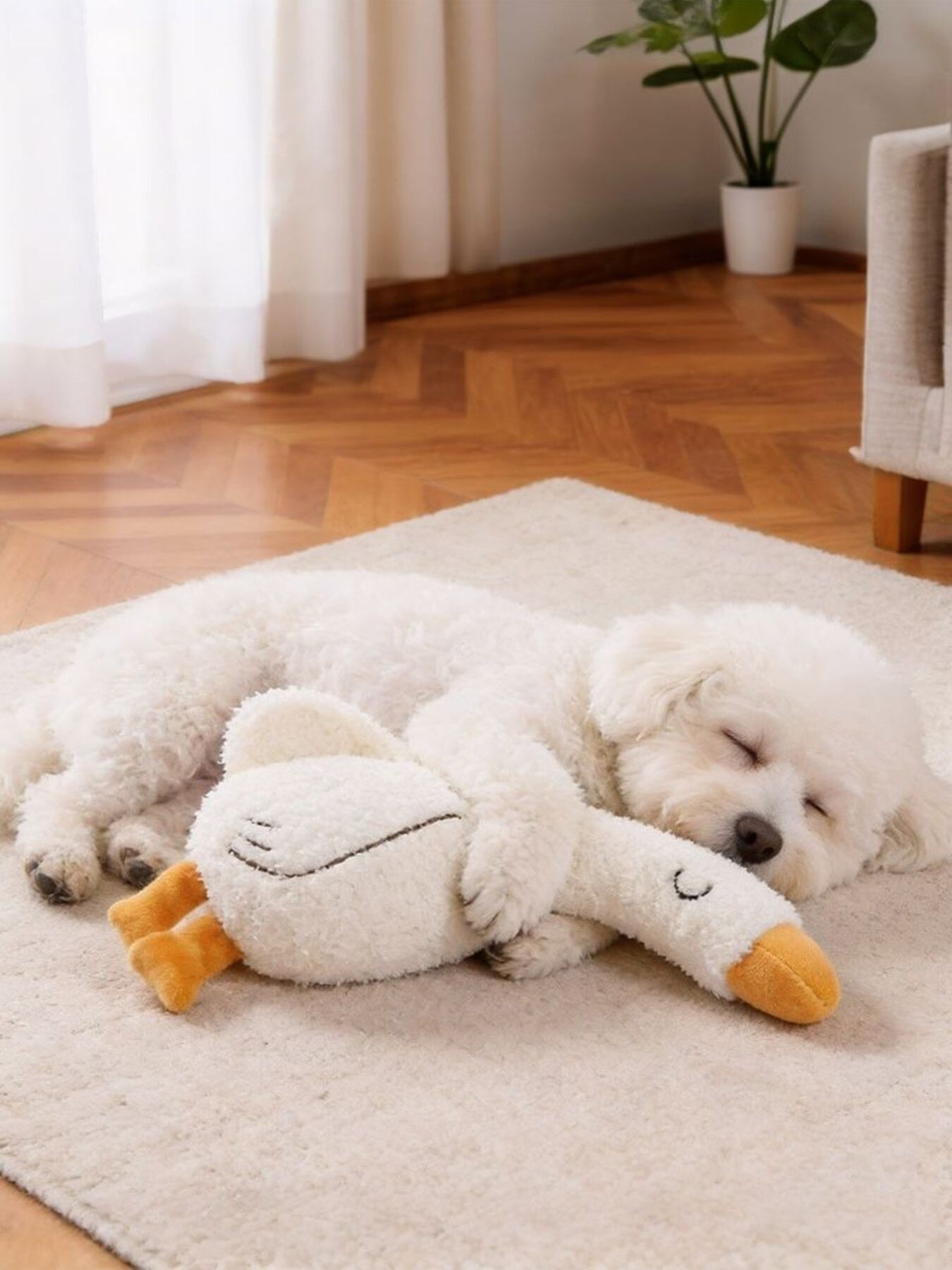 Duck & Fox Design Pet Plush Toys - Loving It Shop