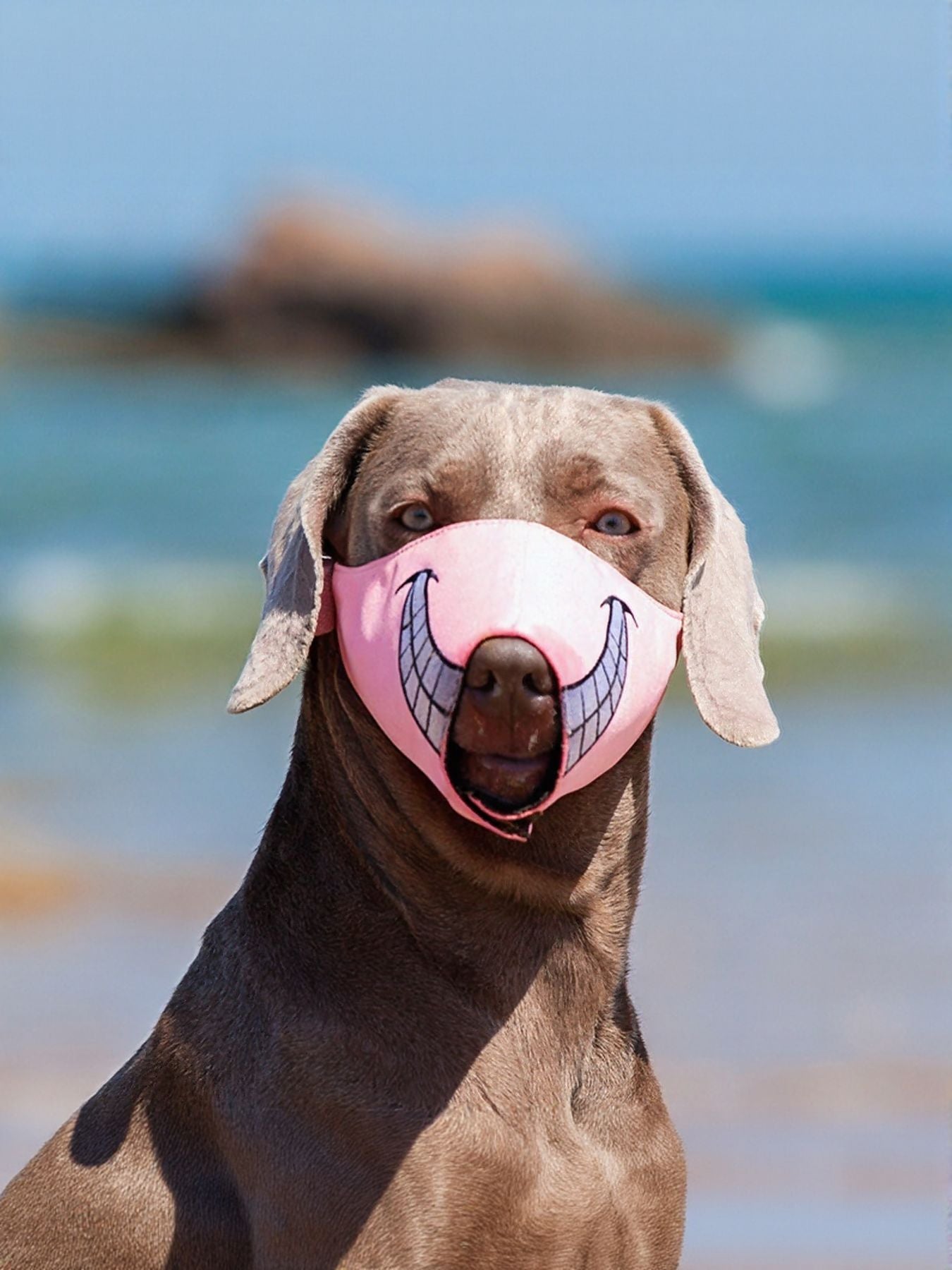 Funny Face Anti - Bite Pet Muzzle - Loving It Shop