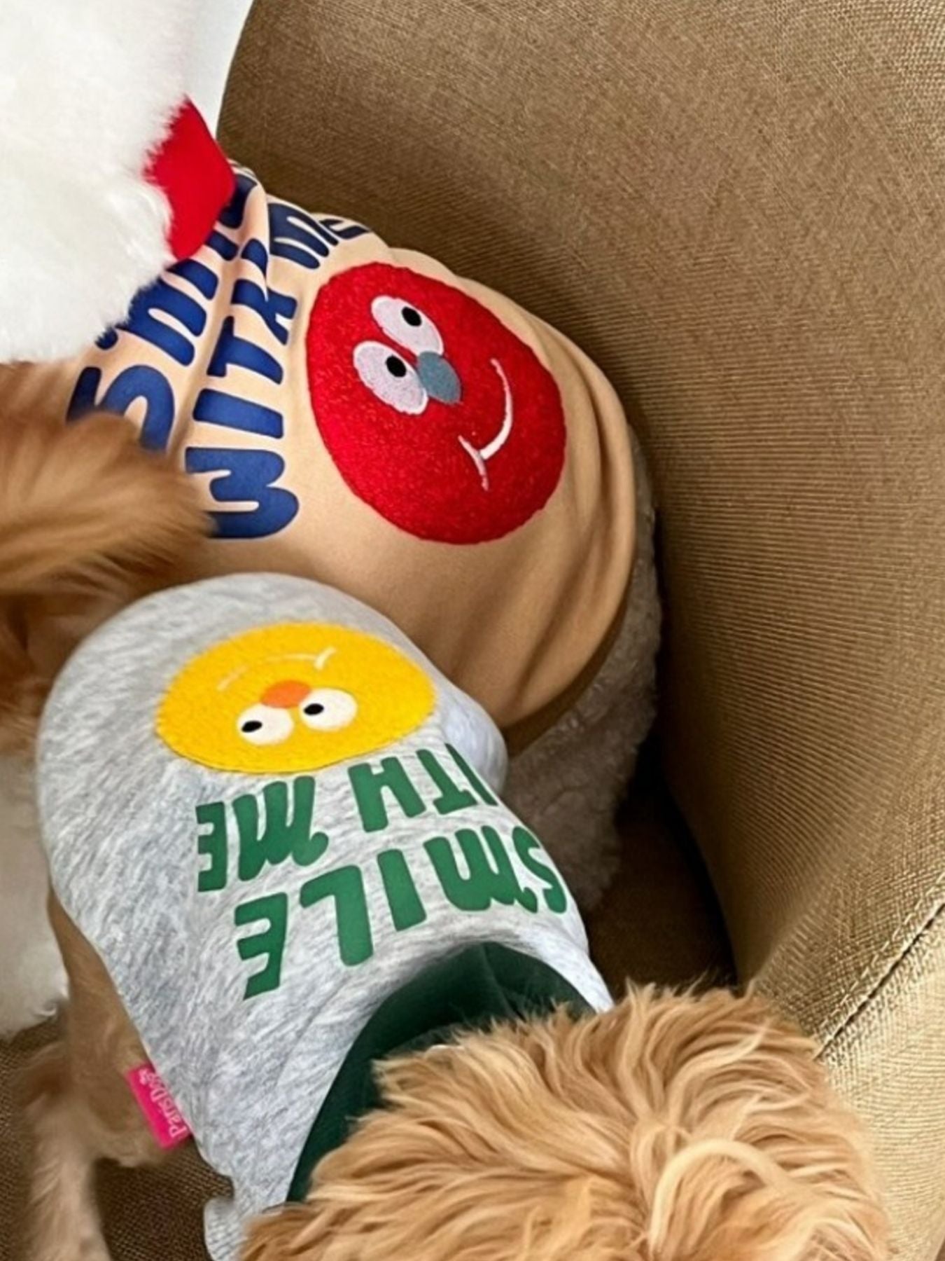 Cute Cartoon Pet Top - Loving It Shop