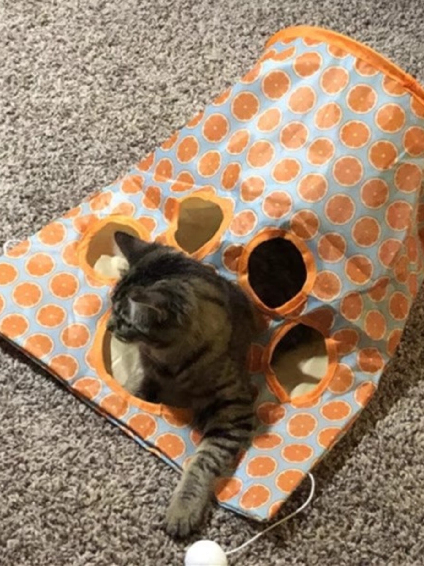 Collapsible Printed Cat Tunnel Toy - Loving It Shop