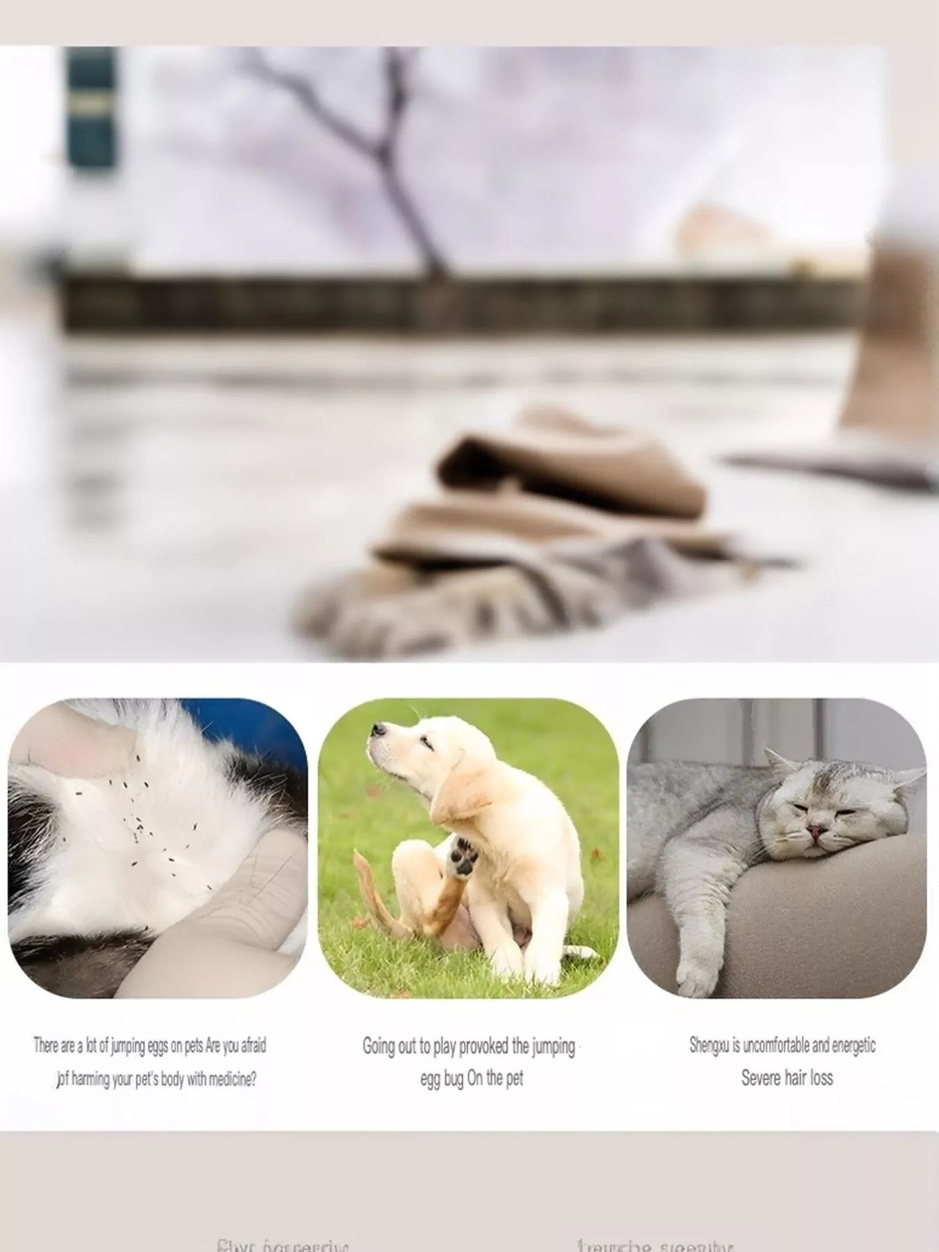 Pet Facial Detail Comb - Loving It Shop