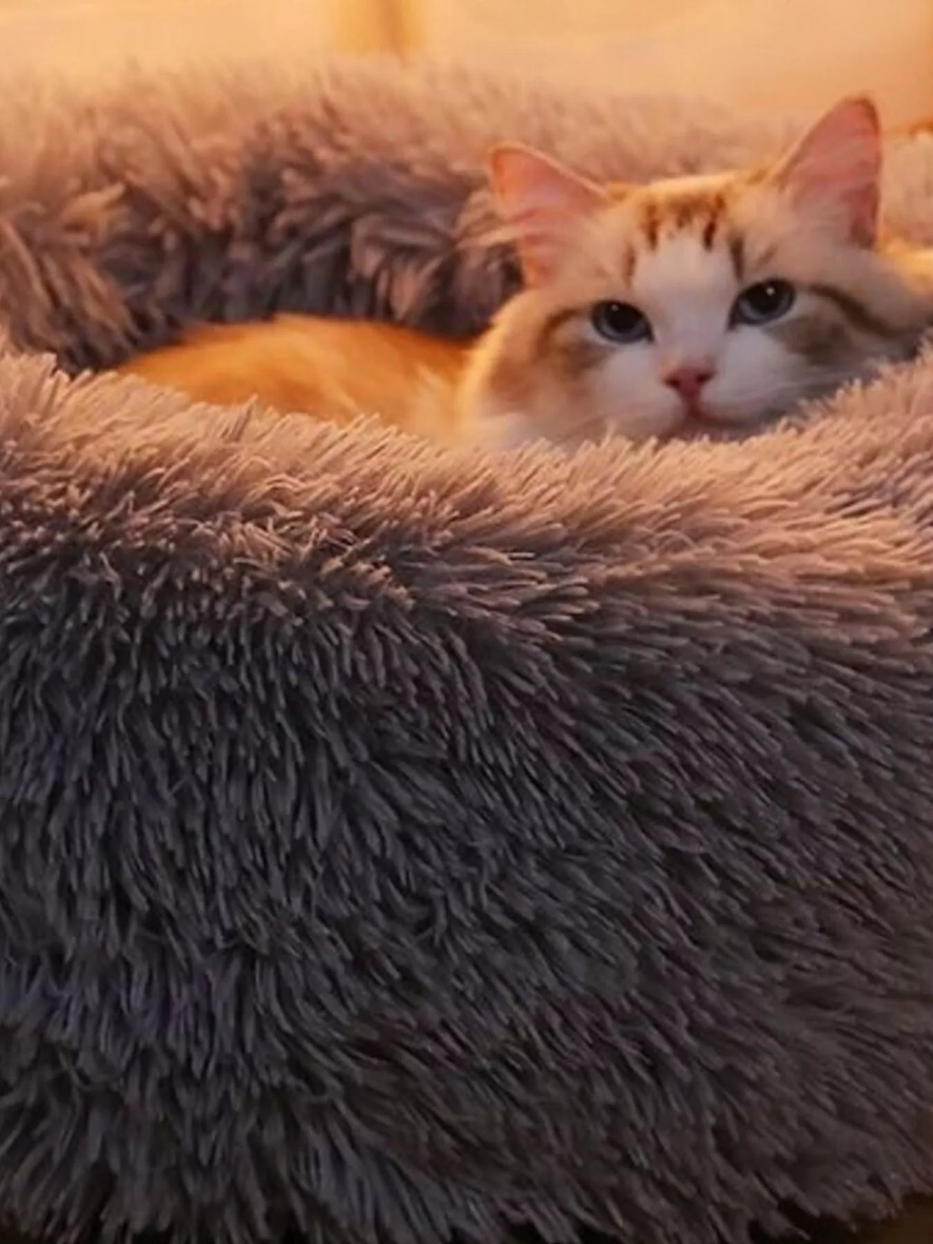 Fluffy Plush Donut Pet Nest - Loving It Shop