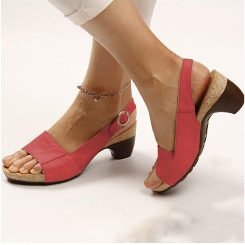 European And American Large Size Women&