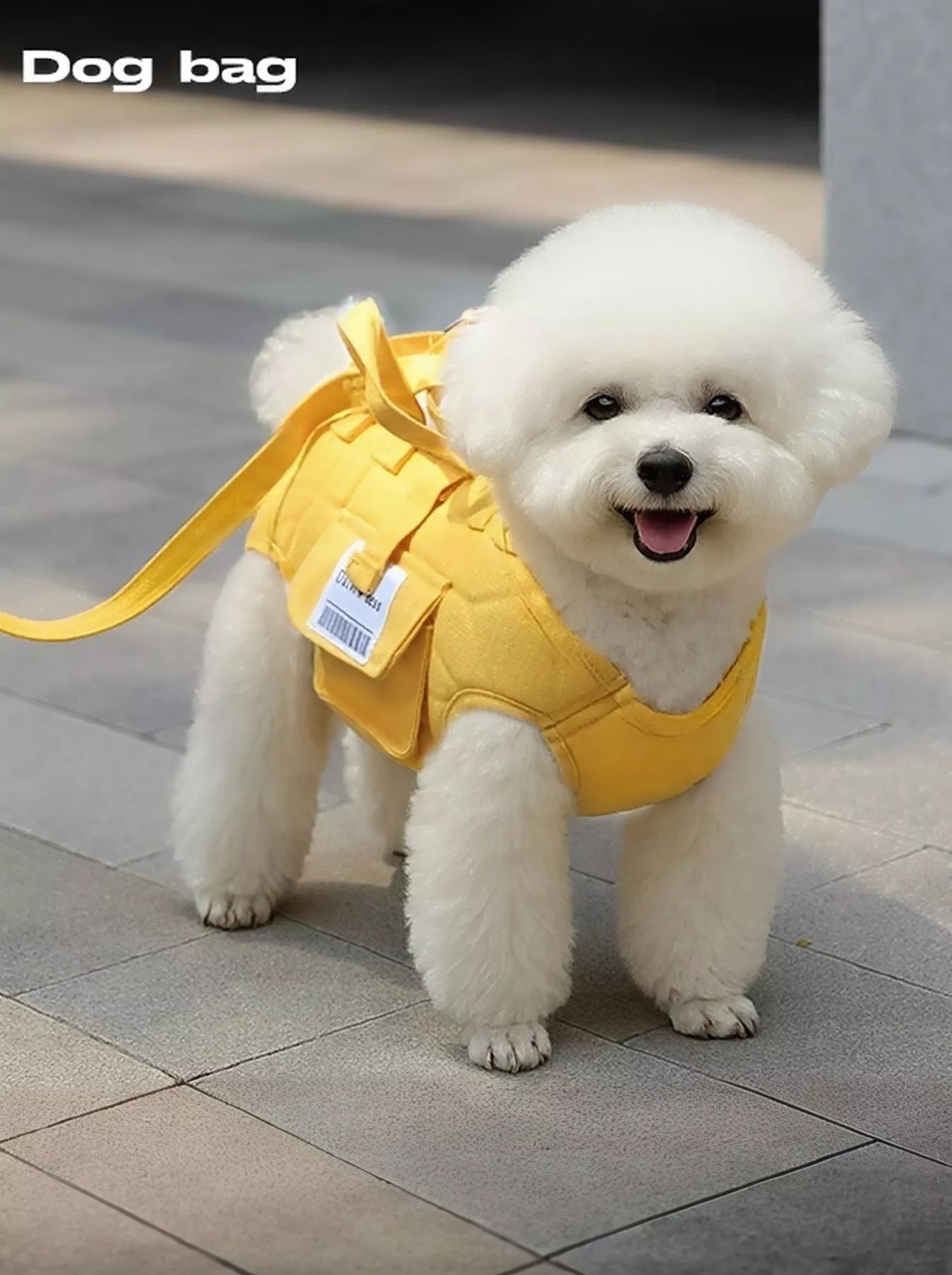 Portable Pet Carrier Harness - Loving It Shop
