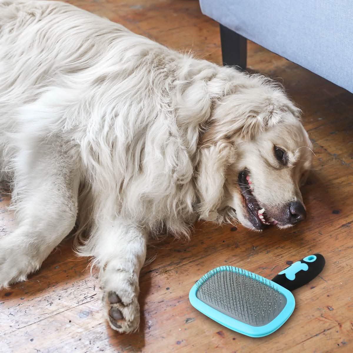 Glendan Dog Brush &amp; Cat Brush - Slicker Pet Grooming Brush