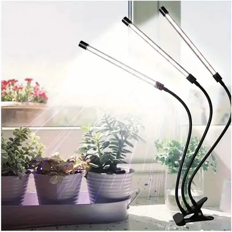 Grow Lights for Seed Starting Auto ON &amp; Off Full Spectrum LED Plant Lights with Timer