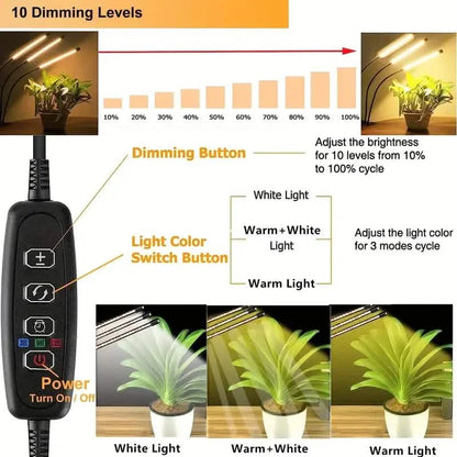 Grow Lights for Seed Starting Auto ON &amp; Off Full Spectrum LED Plant Lights with Timer