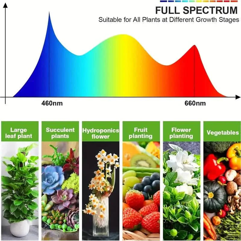 Grow Lights for Seed Starting Auto ON &amp; Off Full Spectrum LED Plant Lights with Timer