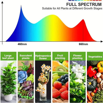 Grow Lights for Seed Starting Auto ON &amp; Off Full Spectrum LED Plant Lights with Timer