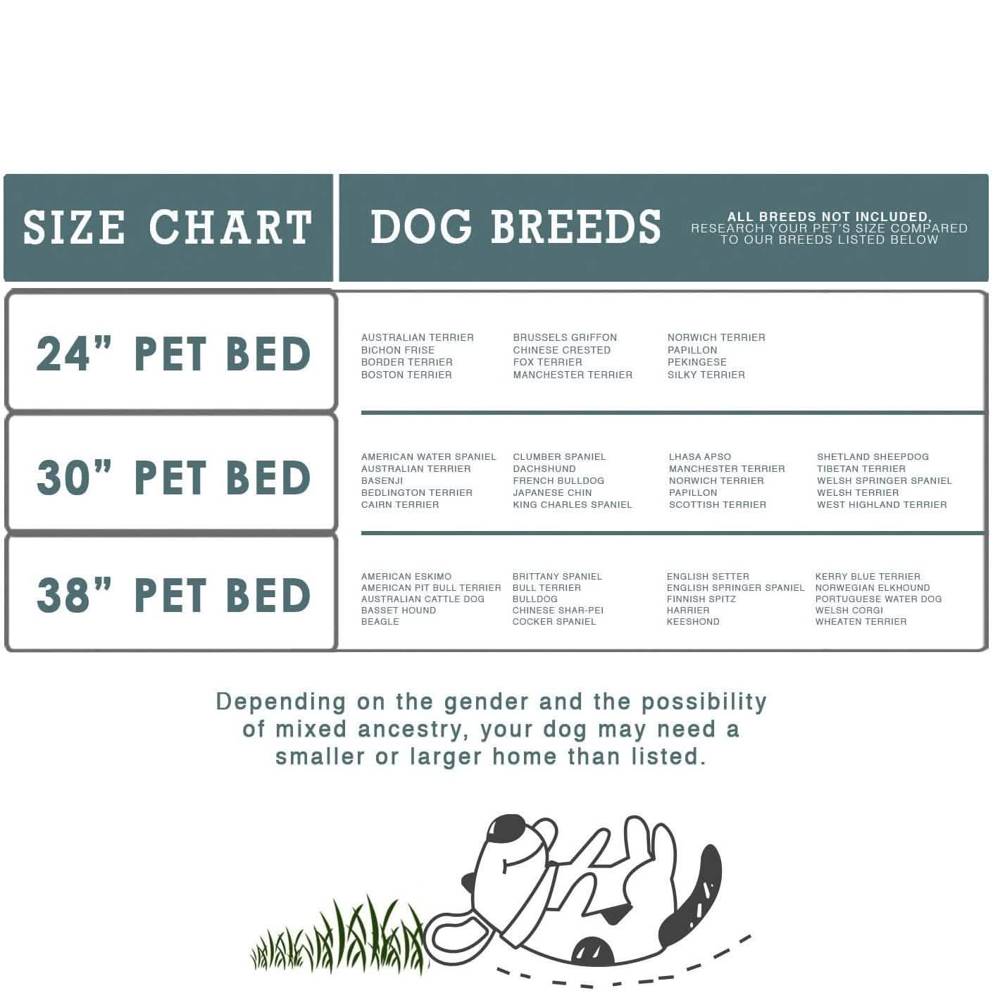 Paws &amp; Pals Bed for Pets