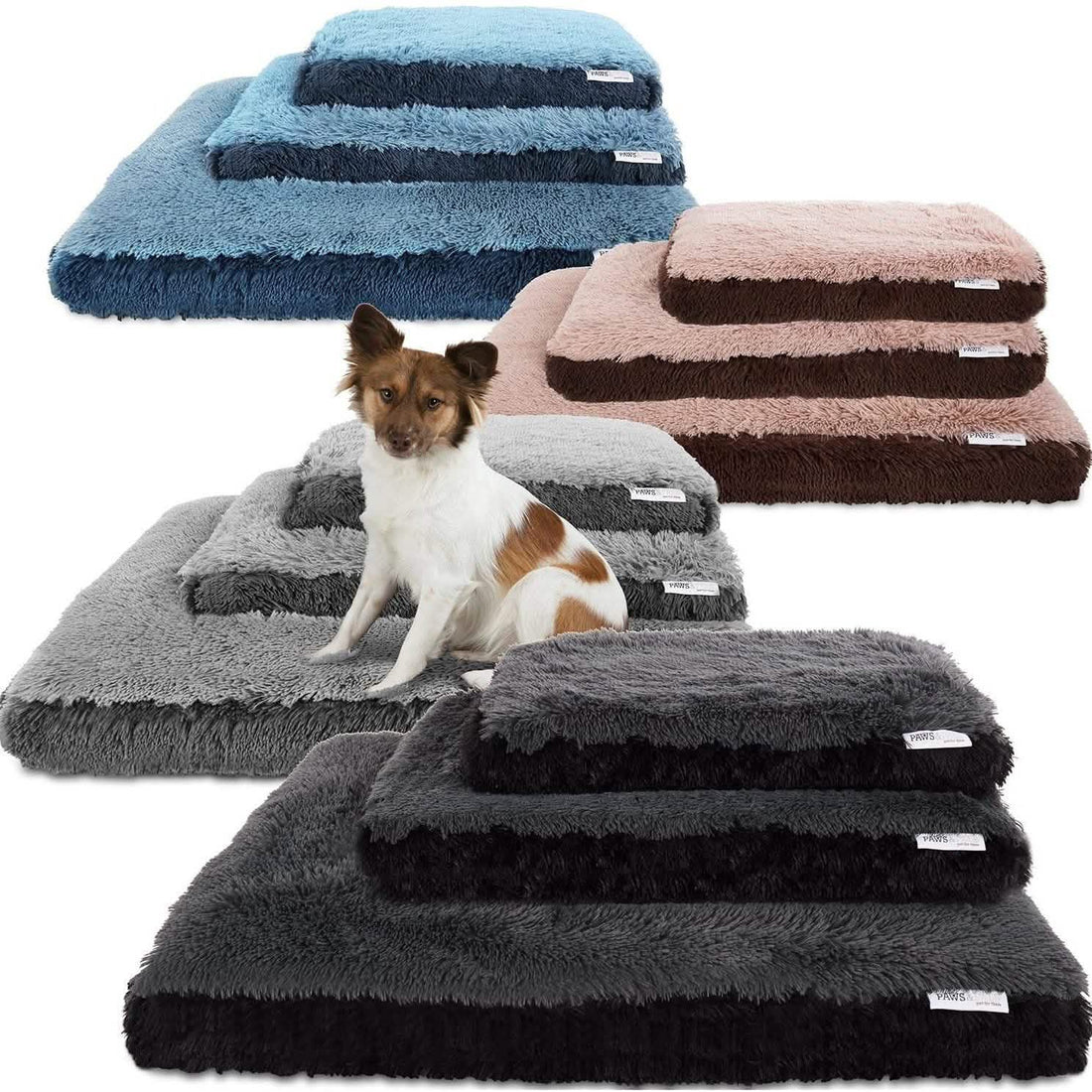 Paws &amp; Pals Bed for Pets