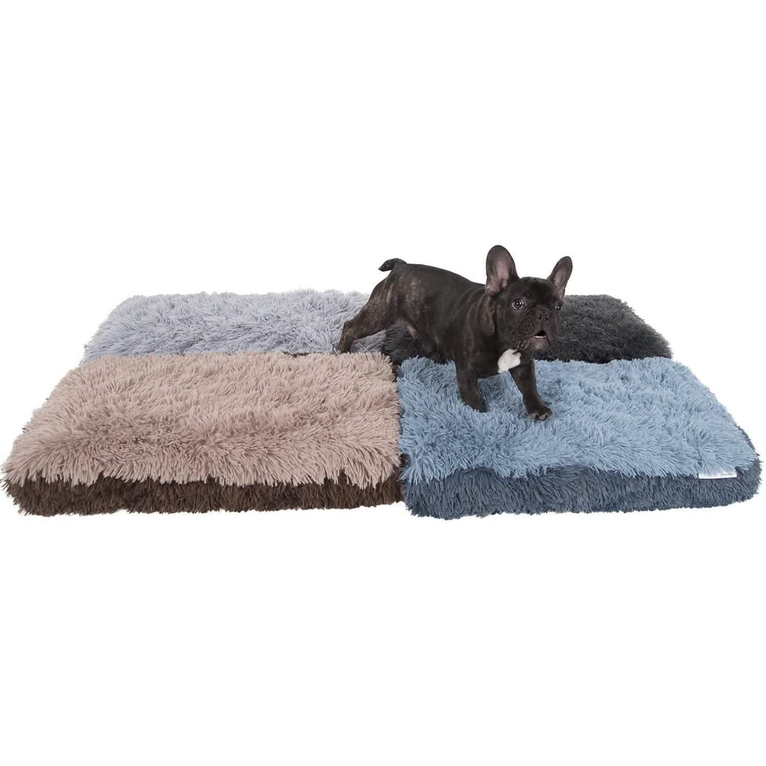 Paws &amp; Pals Bed for Pets