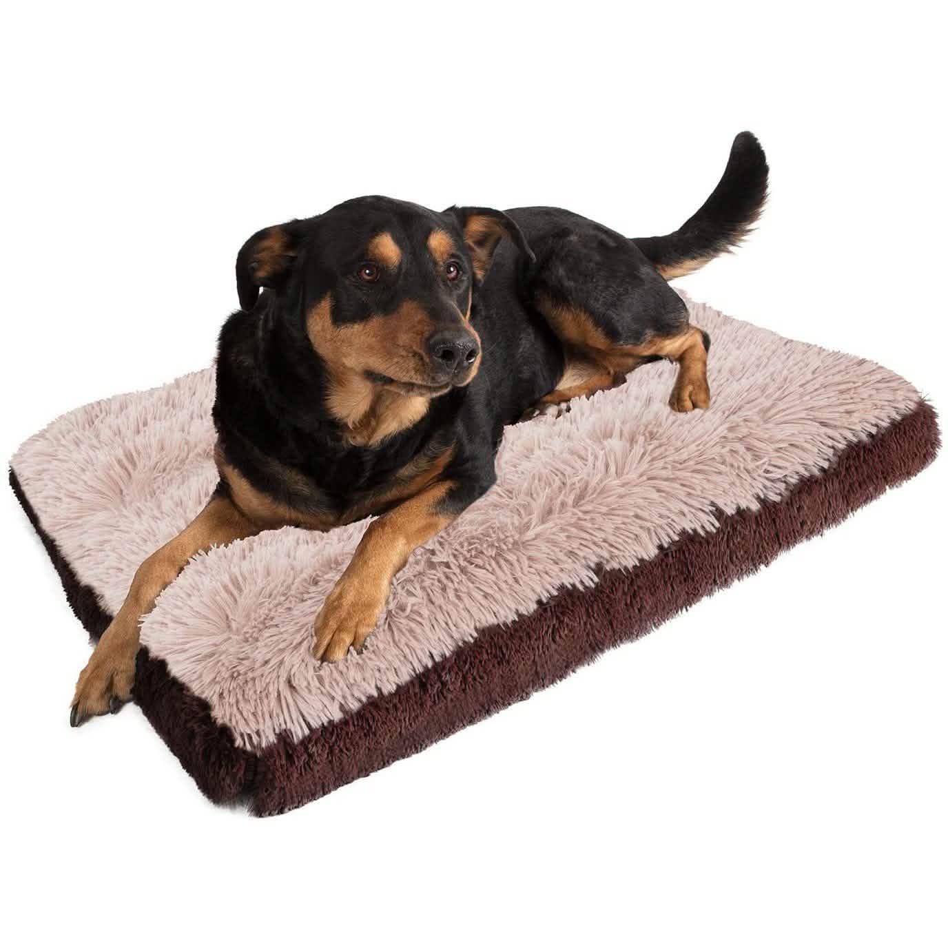 Paws &amp; Pals Bed for Pets