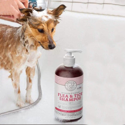 Paws &amp; Pals Flea and Tick Shampoo for Dogs &amp; Cats