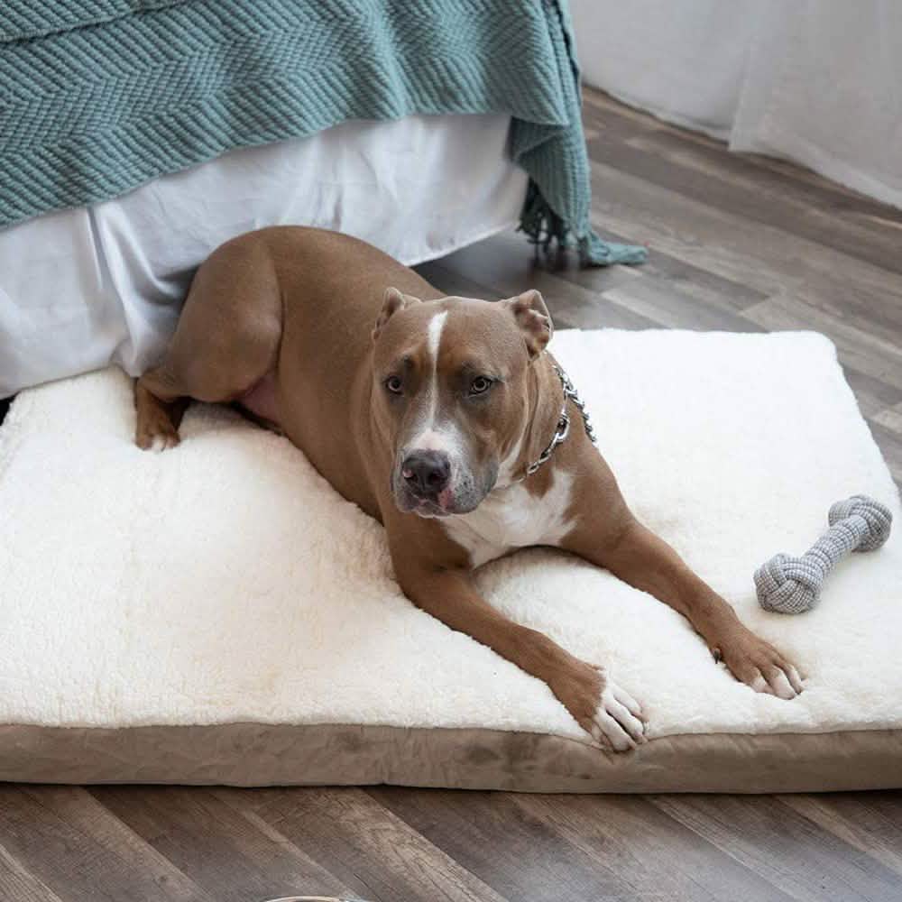 Paws &amp; Pals Orthopedic Pet Bed Foam-Mattress for Dogs and Cats