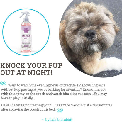Paws &amp; Pals Pet Natural Calming Spray Cologne or Chews Treat for Dogs and Cats