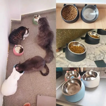 Premium Stainless Steel Cat &amp; Dog Bowls - Non Slip Base for Food &amp; Water