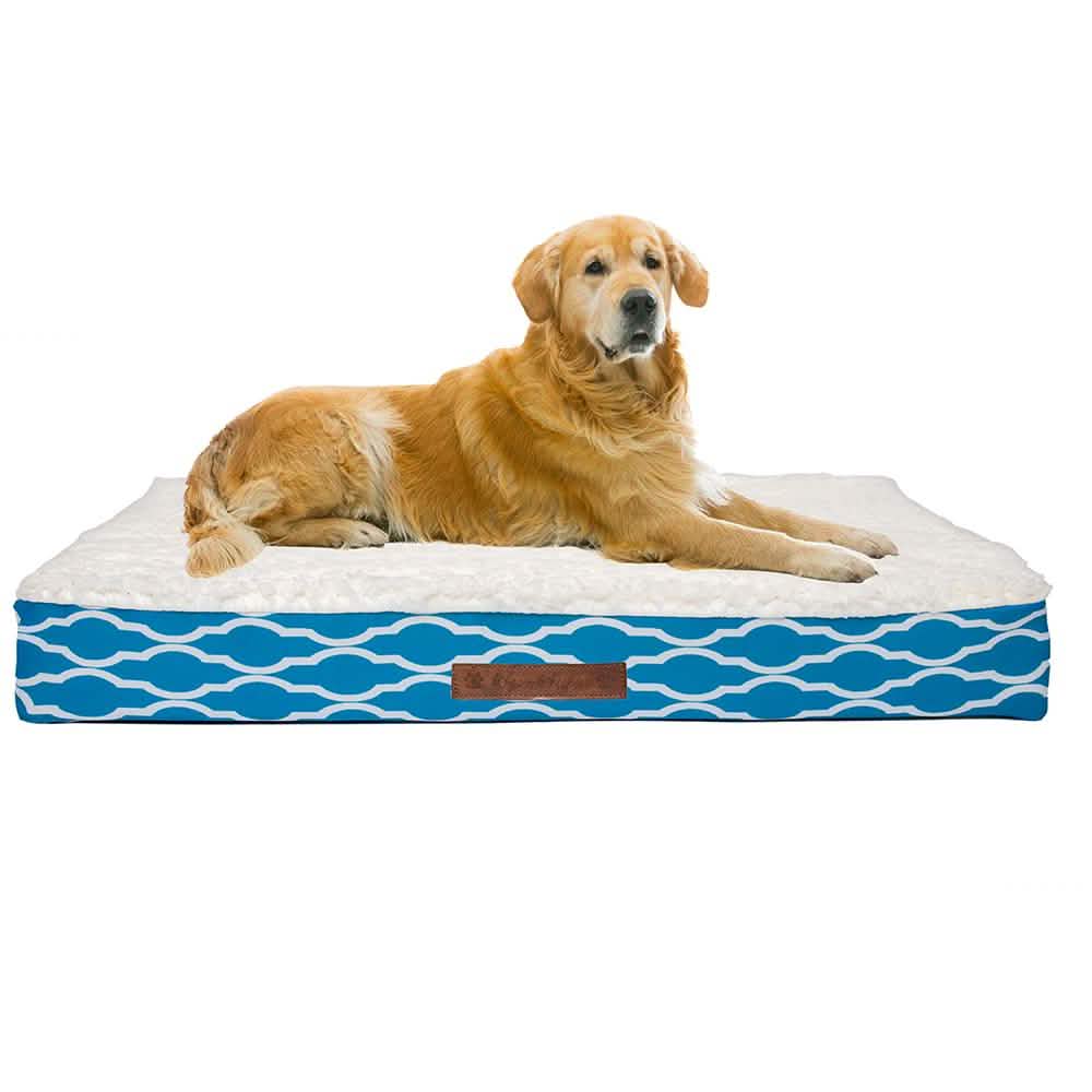 Wags &amp; Whiskers Memory Foam Pet Bed - Assorted Styles