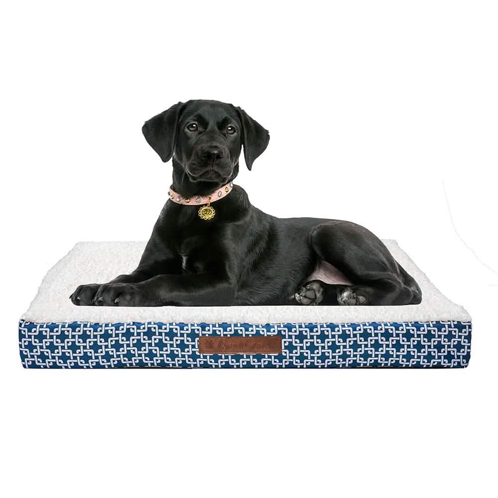 Wags &amp; Whiskers Memory Foam Pet Bed - Assorted Styles