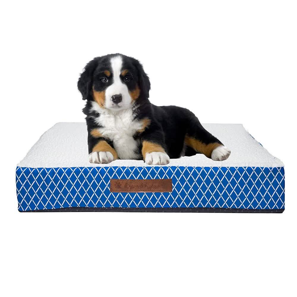 Wags &amp; Whiskers Memory Foam Pet Bed - Assorted Styles