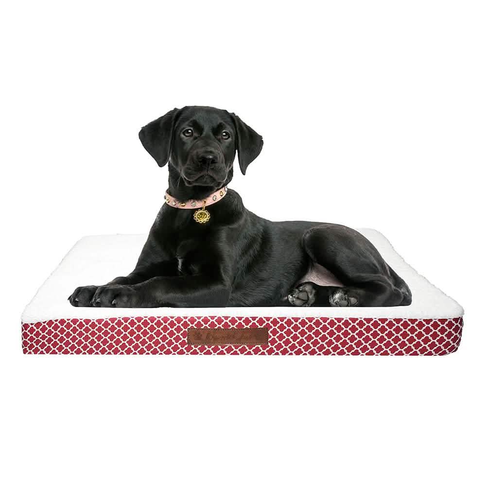 Wags &amp; Whiskers Memory Foam Pet Bed - Assorted Styles