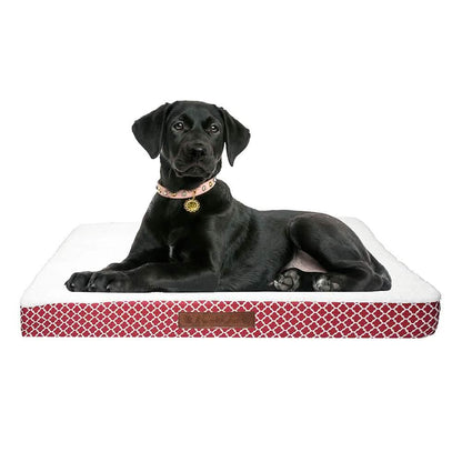 Wags &amp; Whiskers Memory Foam Pet Bed - Assorted Styles