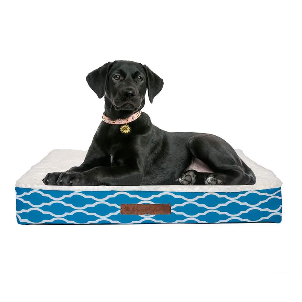 Wags &amp; Whiskers Memory Foam Pet Bed - Assorted Styles