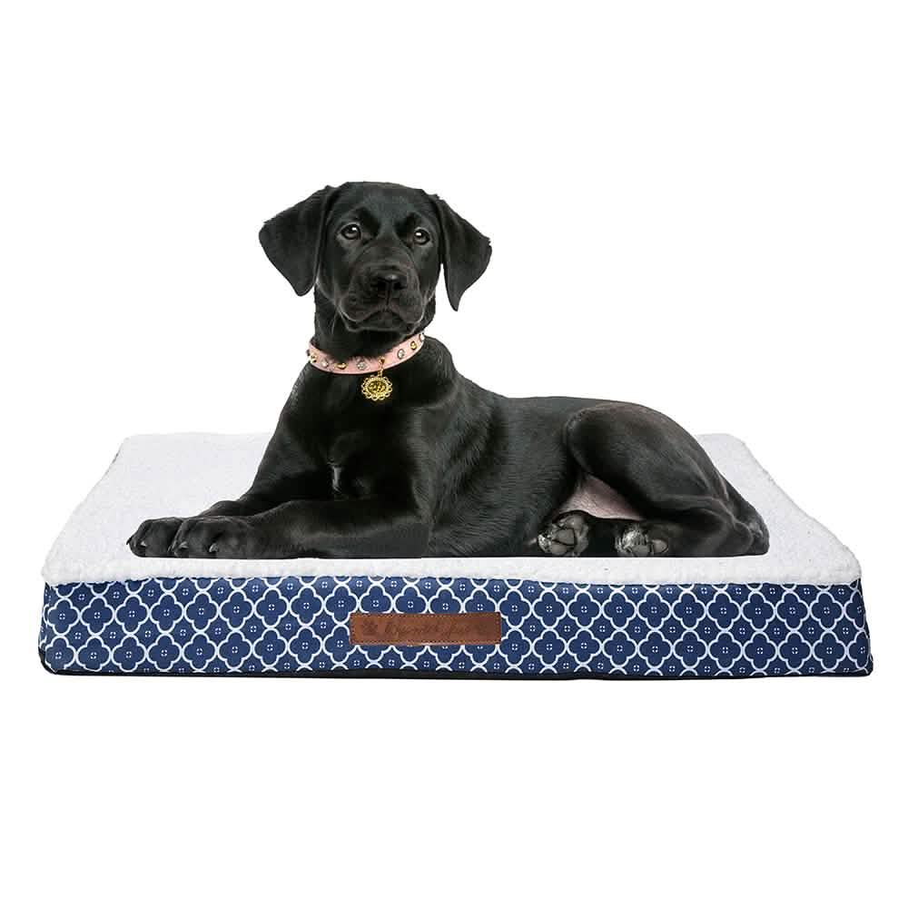 Wags &amp; Whiskers Memory Foam Pet Bed - Assorted Styles
