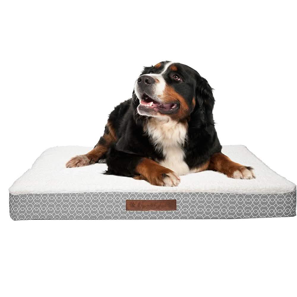 Wags &amp; Whiskers Memory Foam Pet Bed - Assorted Styles