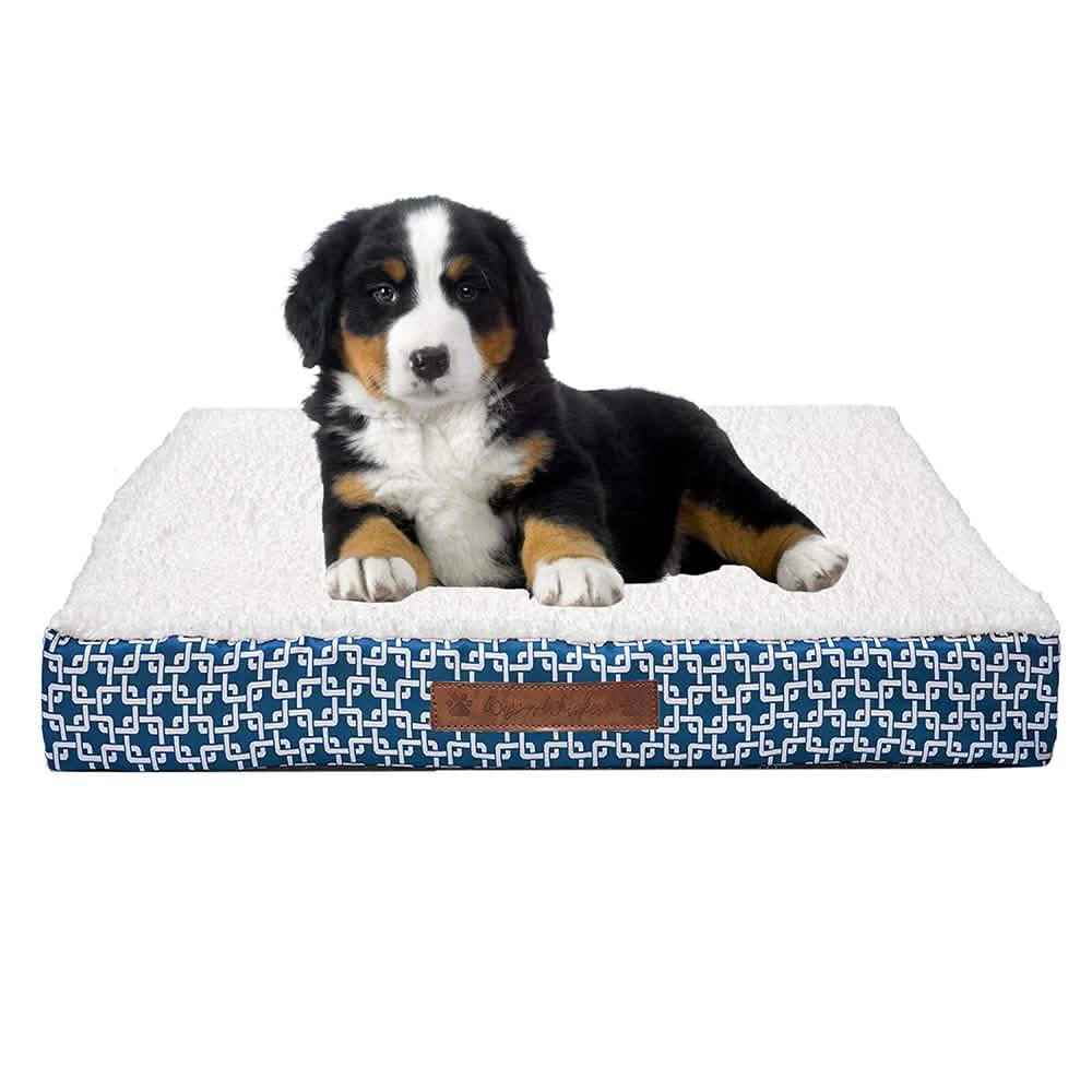 Wags &amp; Whiskers Memory Foam Pet Bed - Assorted Styles