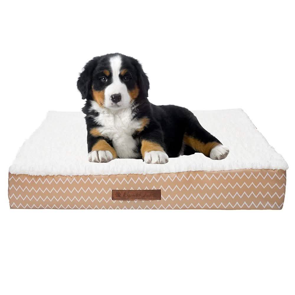 Wags &amp; Whiskers Memory Foam Pet Bed - Assorted Styles