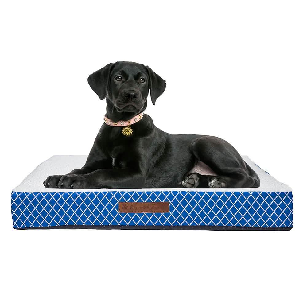 Wags &amp; Whiskers Memory Foam Pet Bed - Assorted Styles