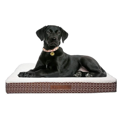 Wags &amp; Whiskers Memory Foam Pet Bed - Assorted Styles
